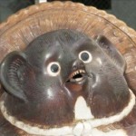 HAW HAW