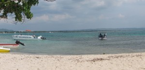 lobster-island-02 lobster-island-02