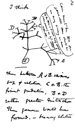 tree2.jpg