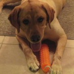 Maggie