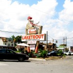 the roost 01