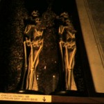 Skeletons