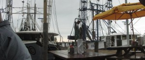 shrimp shack 02