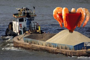 GET RAW AT THE RAW BARGE! (New addition to Tiki Barge)