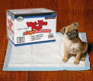 PuppyWeeWeePads